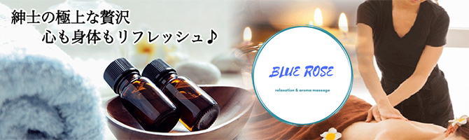 BLUE ROSE ~ブルーローズ~