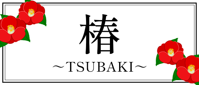 椿 〜人妻系メンズエステ〜